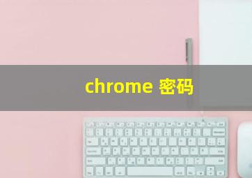 chrome 密码